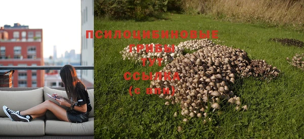 mix Армянск