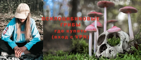 спайс Алексин